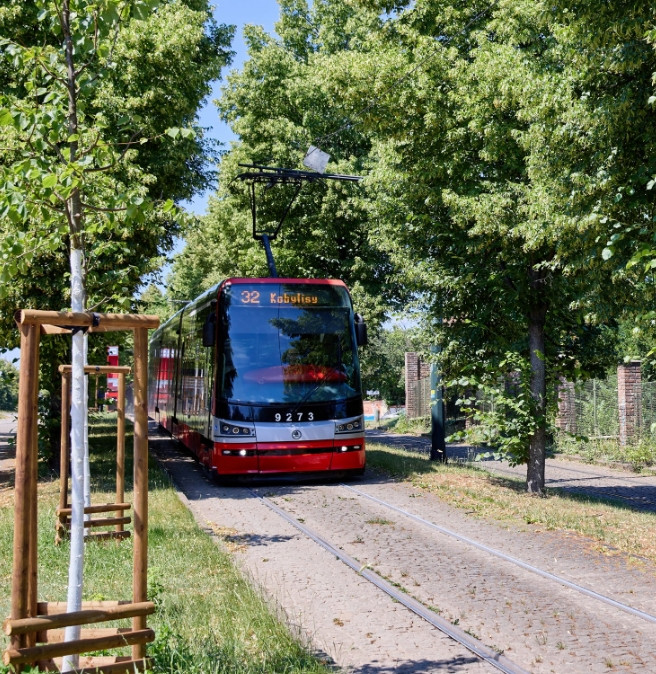 transport-availability transport-availability